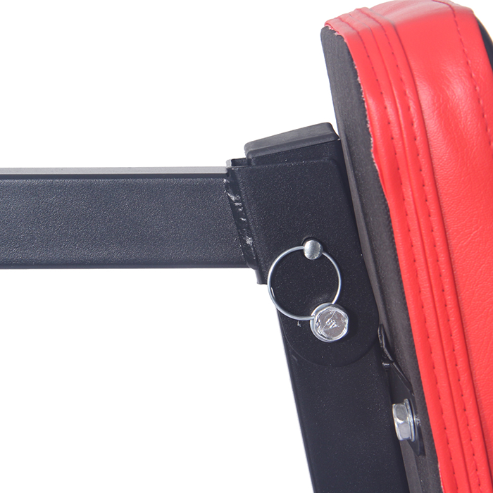 BodyTrain Power Tower and Weight Bench